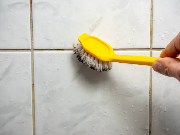 Best Mold Testing  in Sutter Creek, CA