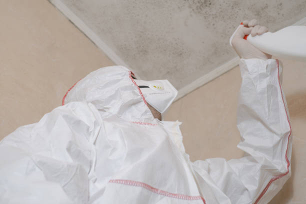 Best Mold Remediation Services  in Sutter Creek, CA