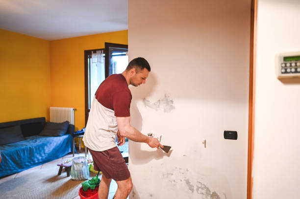 Best Crawl Space Mold Removal  in Sutter Creek, CA