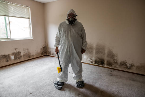 Best Mold Removal Process  in Sutter Creek, CA